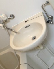 第19紀州ハイツの洗面所