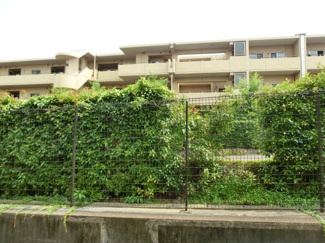 【展望】 | 緑豊かな住環境。