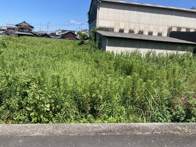 西条市河原津の売地の外観