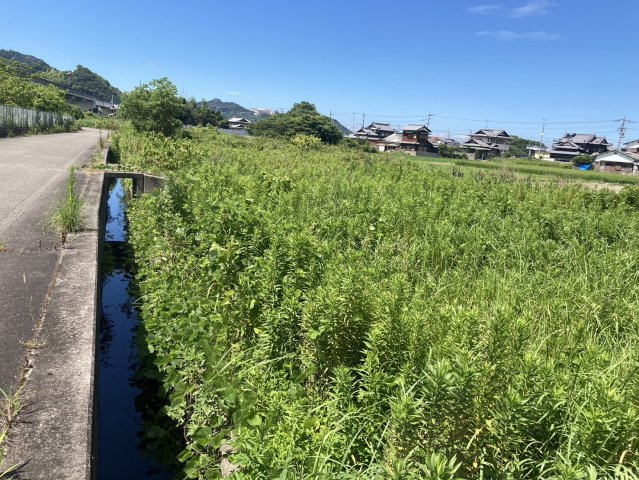 西条市河原津の売地の外観