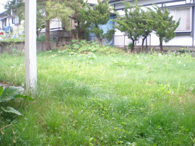 【庭】 | 松園貸家 | お庭で自由な時間を過ごせます