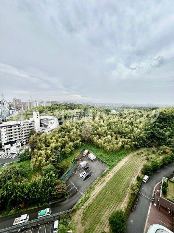 レジオンスクエア緑地公園4番館の展望