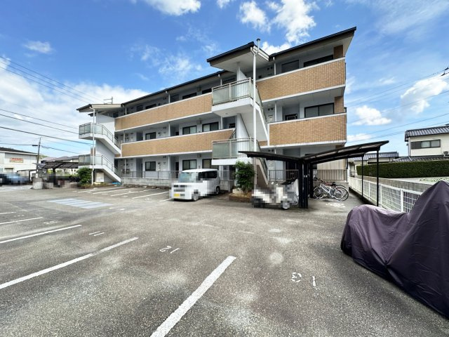 プロムナード万々