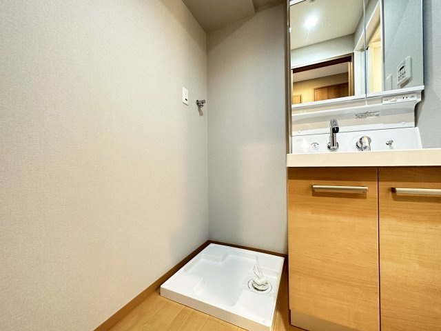 高知インターマンションの洗面所