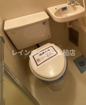 特典：仲介手数料が無料です!!のトイレ|トイレもきれいです