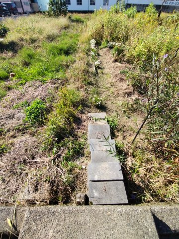 ６４２７６　岐阜市若福町土地のその他