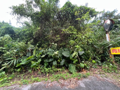  | うるま市字宇堅(1275㎡)