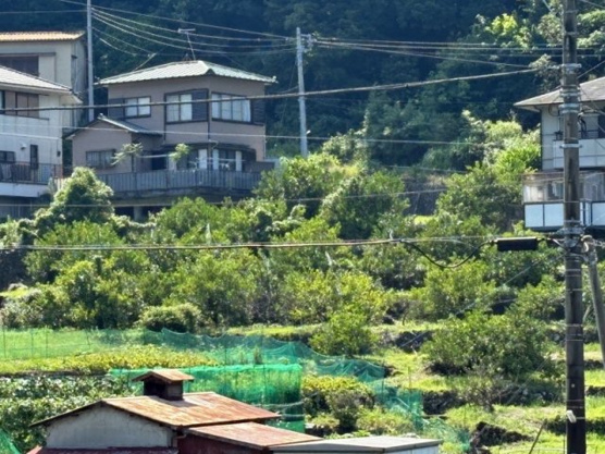 【周辺】 | 熱海市下多賀　売地