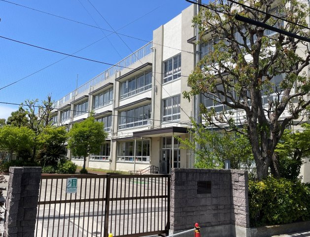 葛飾区南水元2丁目新築戸建【飯塚小学校：4分】の周辺|飯塚小学校まで250ｍ