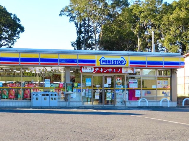 柏市増尾５丁目新築戸建【土小学校：8分】の周辺|ミニストップまで550ｍ