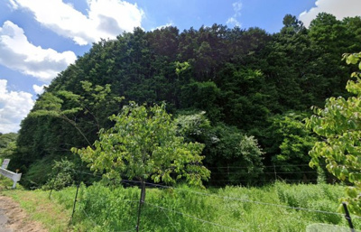 【外観】 | 丹波篠山市北野　山林1