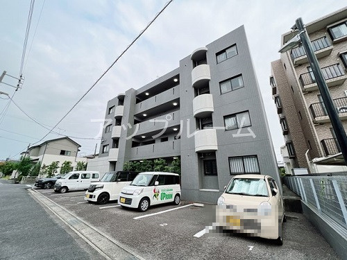 プラザＭＳ