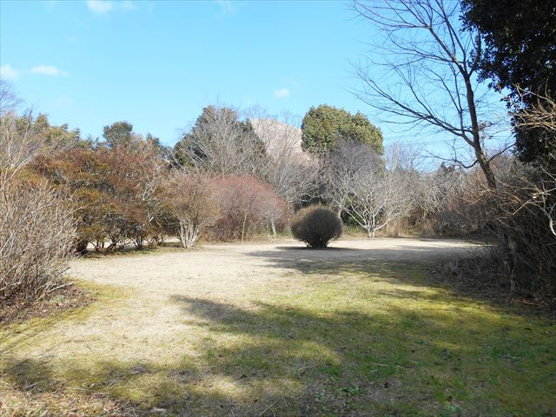 【外観】 | 伊東市池　売地