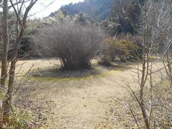 【外観】 | 伊東市池　売地