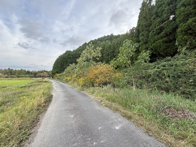 【外観】 | 丹波篠山市北野　農振地農地　3