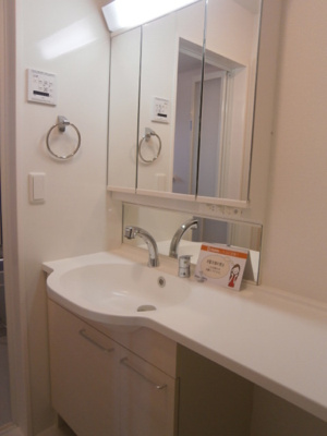 【独立洗面台】 | フォーゲルテラス リラ Ⅴ | カウンター洗面台