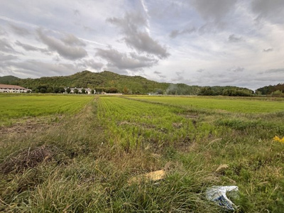 【外観】 | 丹波篠山市北野　農振地農地3　
