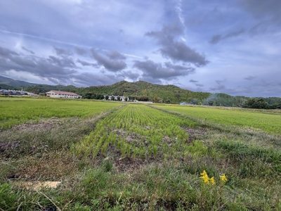 【外観】 | 丹波篠山市北野　農振地農地3　