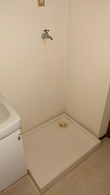 メゾングレージュの洗面所