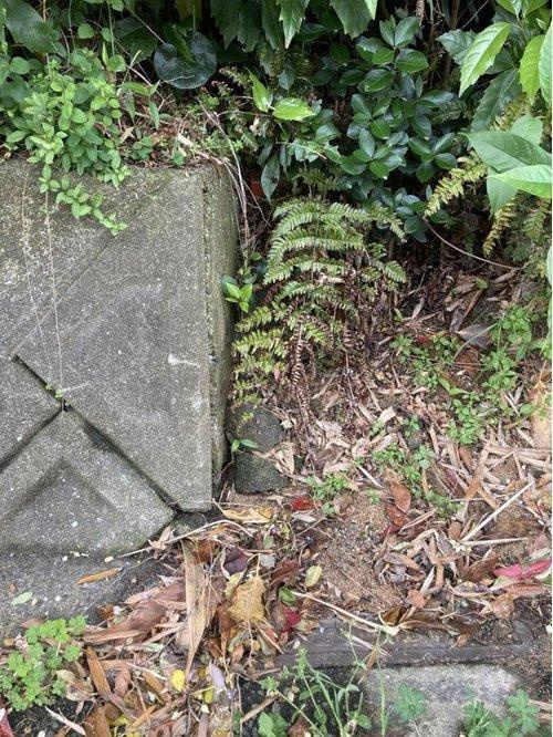 高浜町1丁目1435-4のその他