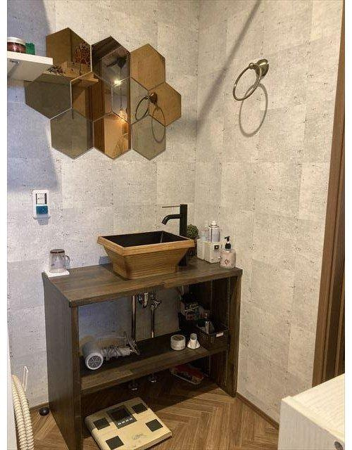 伊予市森　築浅戸建の独立洗面台