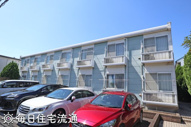 榊の画像