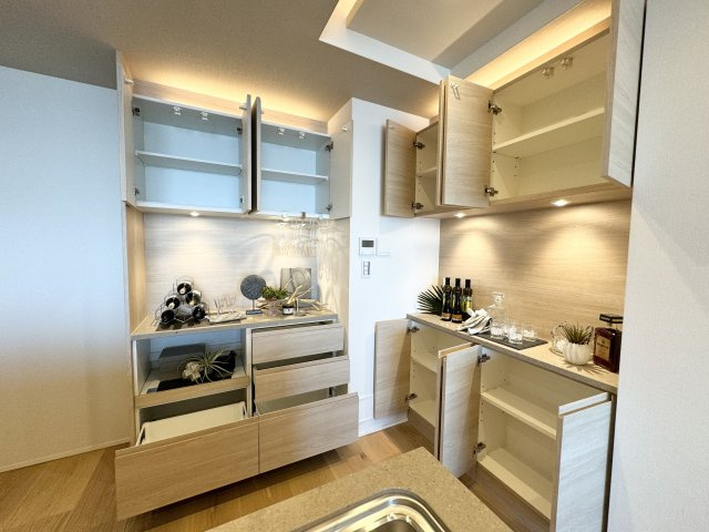 赤坂タワーレジデンス トップオブザヒルの収納