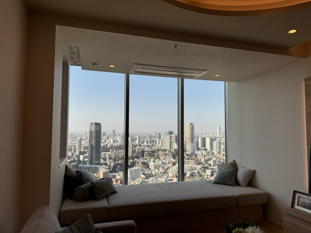 赤坂タワーレジデンス トップオブザヒルの居間・リビング|リビングからの眺望