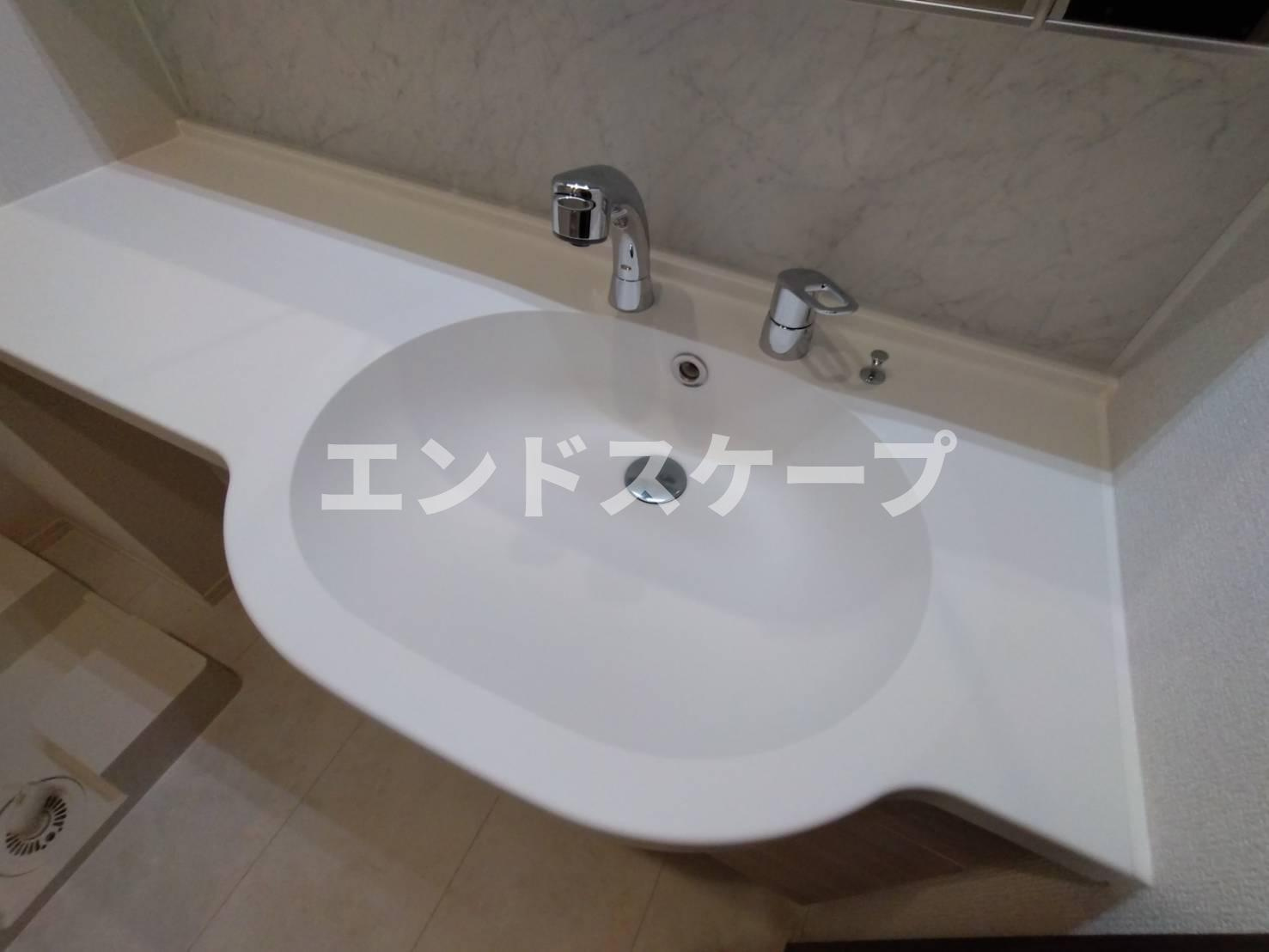 D-ROOM岩押町の独立洗面台|高崎、前橋エリアのお部屋探しはエンドスケープまで！お客様の理想お聞かせ下さい♪