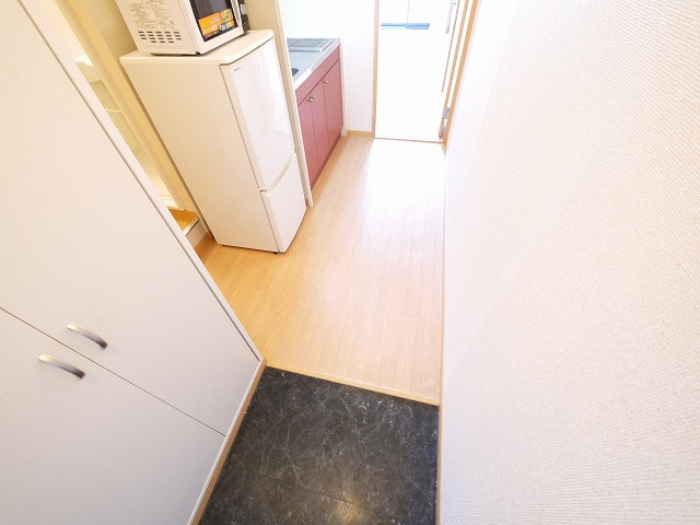 レオパレスビューヒルズテンの玄関
