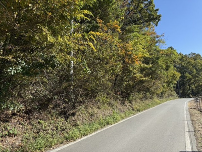 【前面道路含む現地写真】 | 佐久市内山西別荘地（贈与２区画セット）