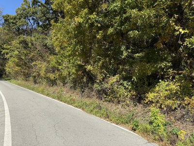 【前面道路含む現地写真】 | 佐久市内山西別荘地（贈与２区画セット）