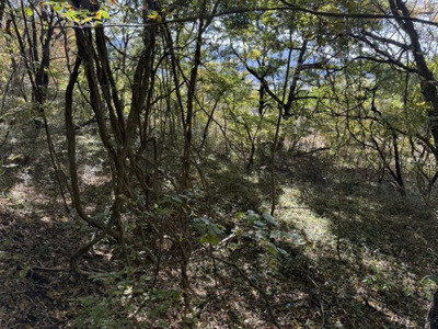 【外観】 | 佐久市内山西別荘地（贈与２区画セット）