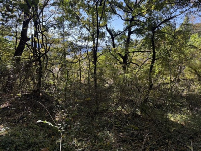 【外観】 | 佐久市内山西別荘地（贈与２区画セット）