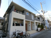 コトン　ヴァリの画像