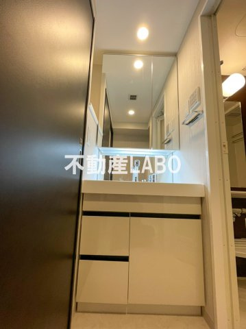 エステムコート難波VIエントの洗面所