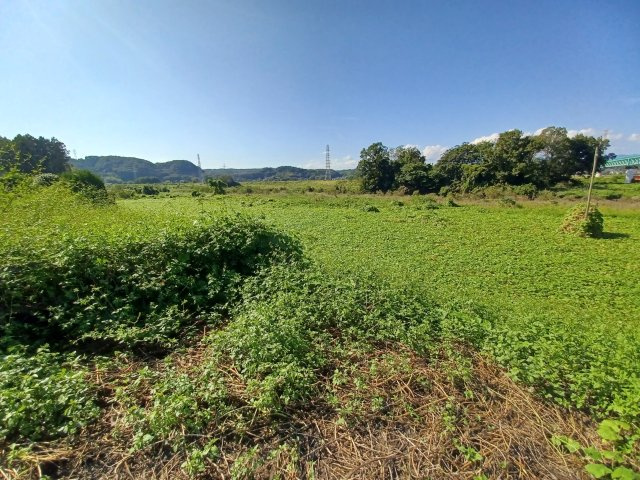 下唐子960-1、961-1貸地