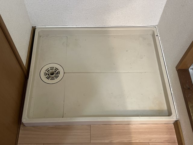 Ｓ・Ｊルミナスのその他