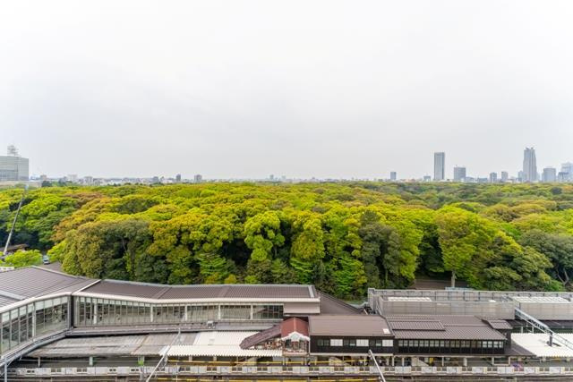 渋谷区神宮前１丁目の賃貸マンション|眺望