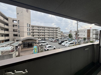 【展望】 | パラシオン菊水