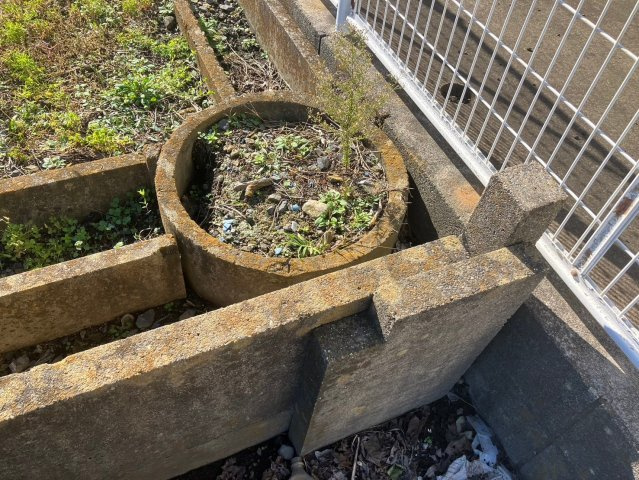 笠間市旭町売地243の周辺