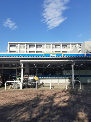 【周辺】 | メゾンドベルフォレ