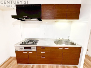 大きなシンクでお鍋などの大きな調理器具を洗う際にも便利です。
