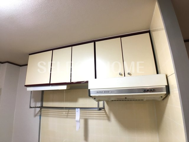  | Ｓｕｒｐｌｕｓ　Ｏｎｅ　富川