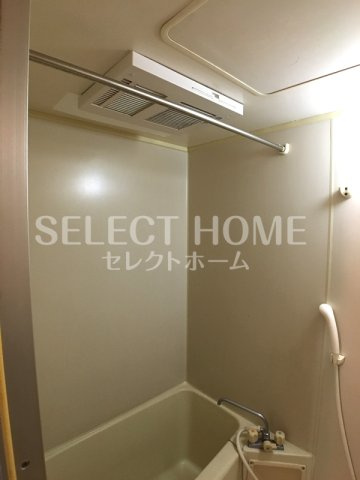  | Ｓｕｒｐｌｕｓ　Ｏｎｅ　富川