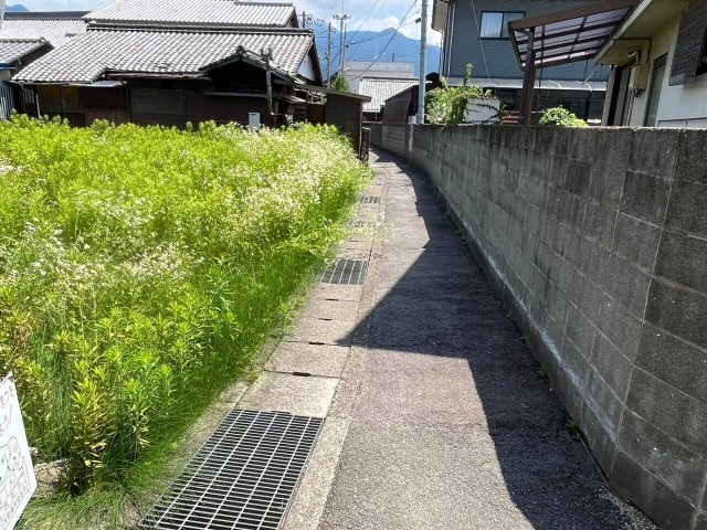 西条市大町1500-5　売地の前面道路含む現地写真|前面道路含む現地写真です