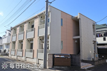 サンフラワーの画像