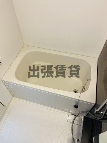 仲介手数料０円！セイワパレス丸の内駅前プレミアの浴室