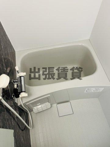 仲介手数料０円！S-RESIDENCE丸の内駅前Northの浴室