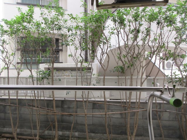 ＭＡＸＩＶ日吉の展望|他のお部屋の参考写真です。